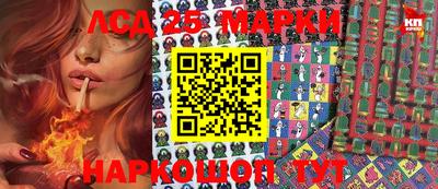 гидропоника Донской