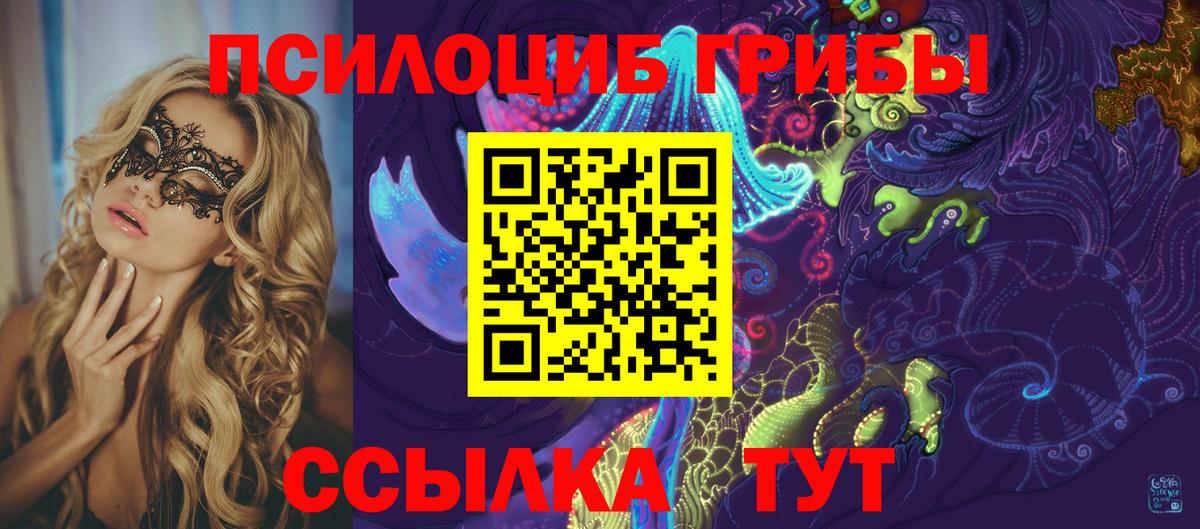 Псилоцибиновые грибы Cubensis Нефтекамск