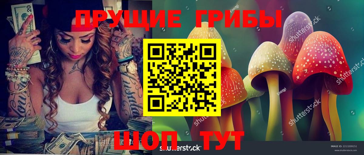 Псилоцибиновые грибы Magic Shrooms  Галлюциногенные грибы Magic Shrooms  Вход с VPN  где можно купить   Нефтекамск 